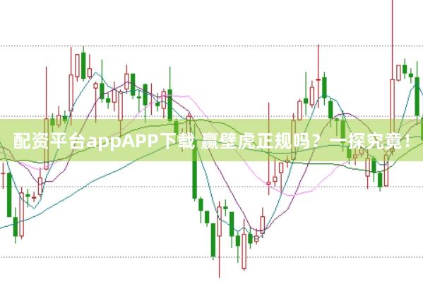 配资平台appAPP下载 赢壁虎正规吗？一探究竟！