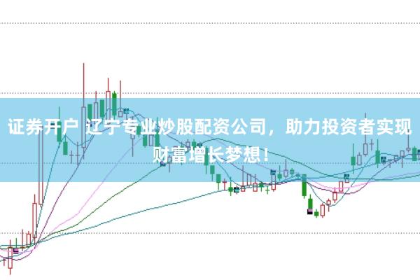 证券开户 辽宁专业炒股配资公司，助力投资者实现财富增长梦想！