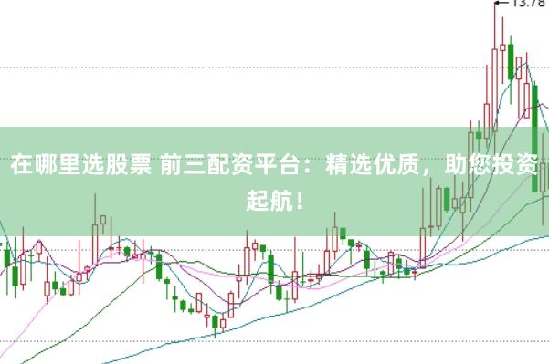 在哪里选股票 前三配资平台：精选优质，助您投资起航！