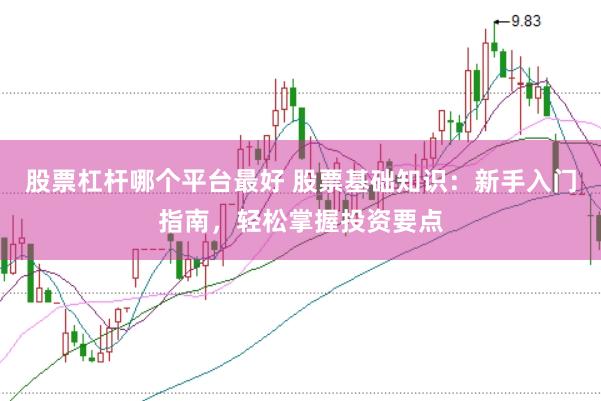 股票杠杆哪个平台最好 股票基础知识：新手入门指南，轻松掌握投资要点