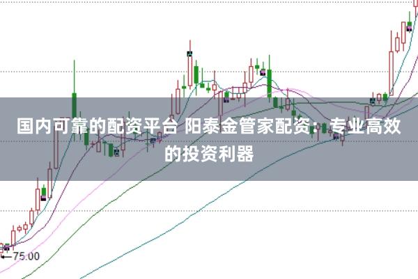 国内可靠的配资平台 阳泰金管家配资：专业高效的投资利器