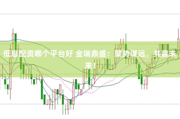 低息配资哪个平台好 金瑞鼎盛：聚势谋远，共赢未来！