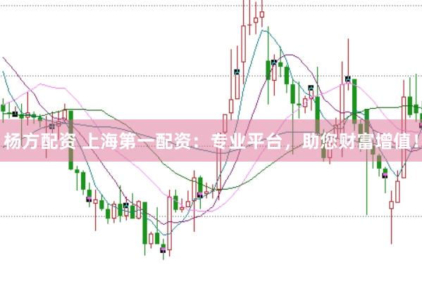杨方配资 上海第一配资：专业平台，助您财富增值！