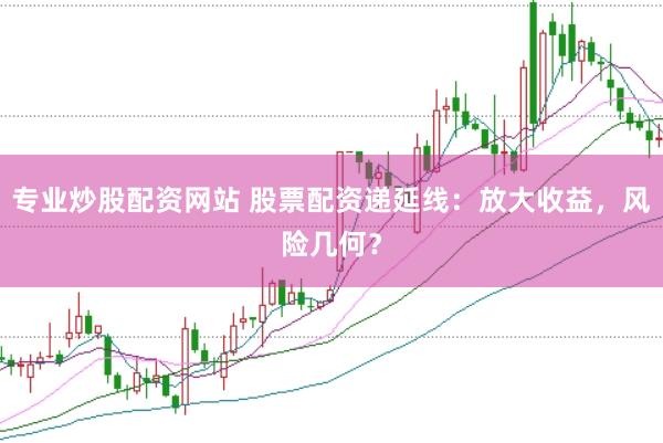 专业炒股配资网站 股票配资递延线：放大收益，风险几何？