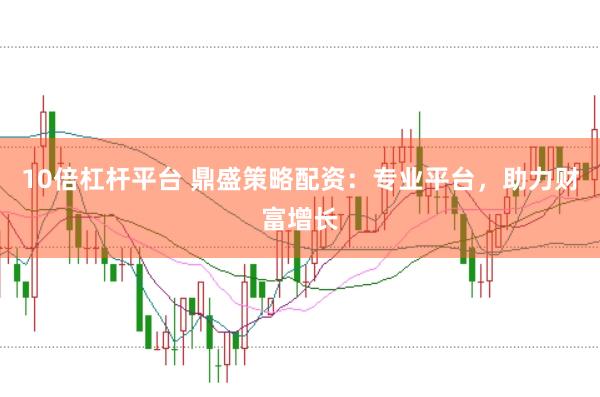 10倍杠杆平台 鼎盛策略配资：专业平台，助力财富增长