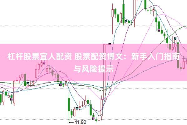 杠杆股票宜人配资 股票配资博文：新手入门指南与风险提示