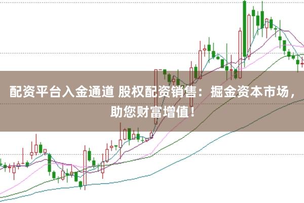 配资平台入金通道 股权配资销售：掘金资本市场，助您财富增值！