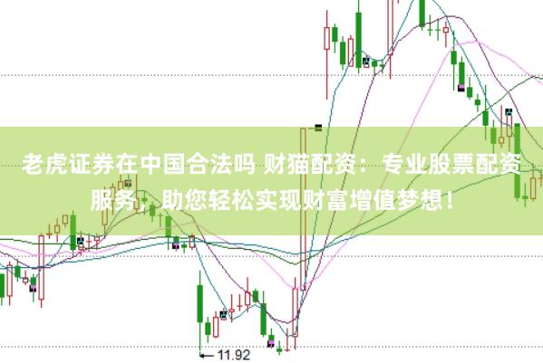老虎证券在中国合法吗 财猫配资：专业股票配资服务，助您轻松实现财富增值梦想！