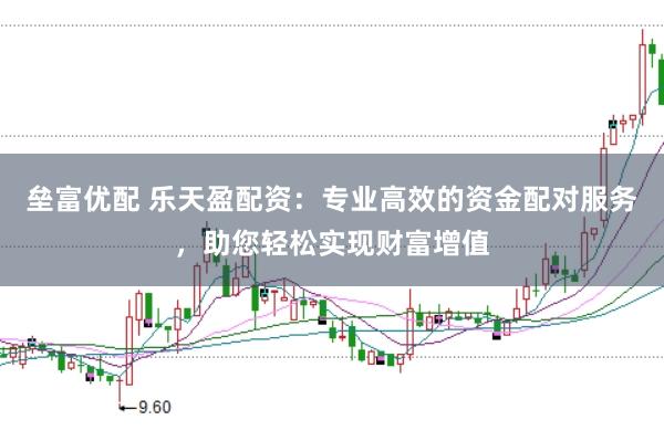 垒富优配 乐天盈配资：专业高效的资金配对服务，助您轻松实现财富增值