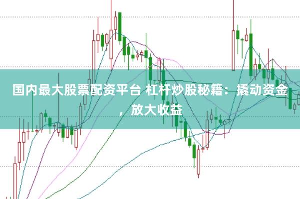 国内最大股票配资平台 杠杆炒股秘籍：撬动资金，放大收益