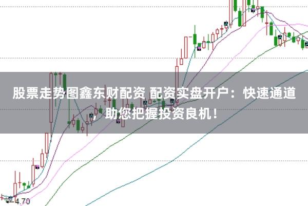 股票走势图鑫东财配资 配资实盘开户：快速通道，助您把握投资良机！