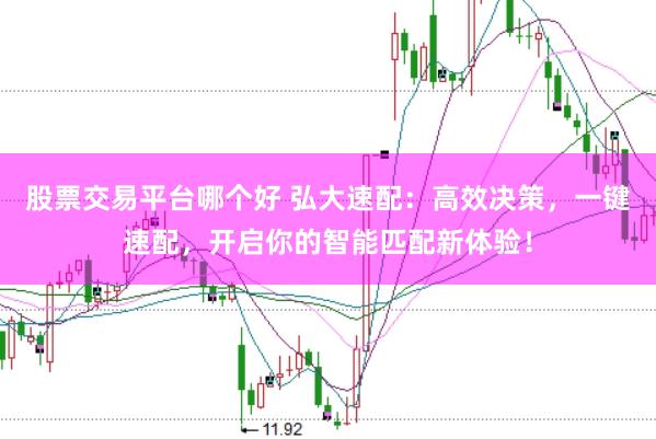 股票交易平台哪个好 弘大速配：高效决策，一键速配，开启你的智能匹配新体验！