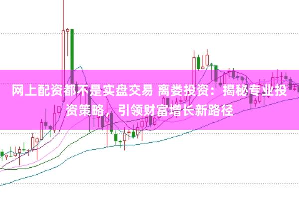 网上配资都不是实盘交易 离娄投资：揭秘专业投资策略，引领财富增长新路径