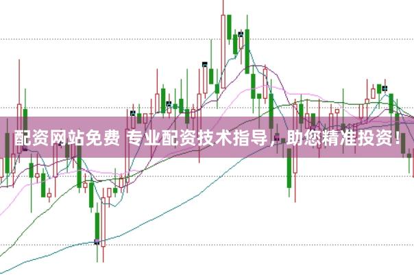 配资网站免费 专业配资技术指导，助您精准投资！