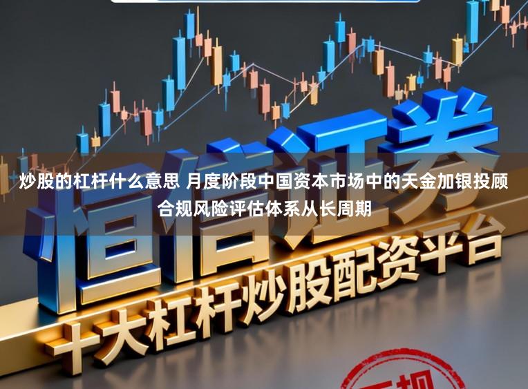 炒股的杠杆什么意思 月度阶段中国资本市场中的天金加银投顾合规风险评估体系从长周期