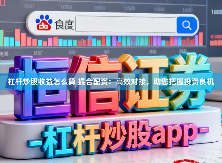 杠杆炒股收益怎么算 撮合配资:高效对接,助您把握投资良机